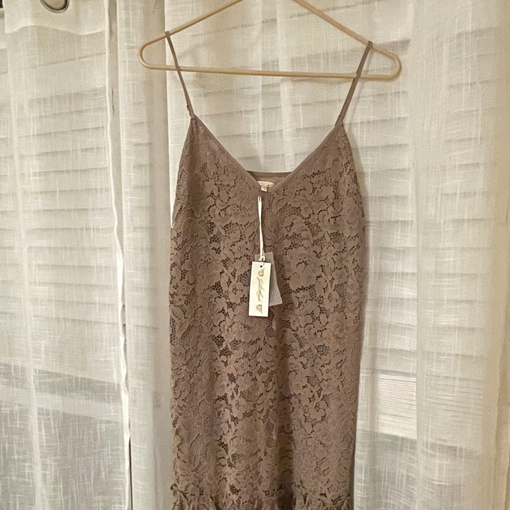 Gold Hawk Taupe Lace Cocktail Dress
